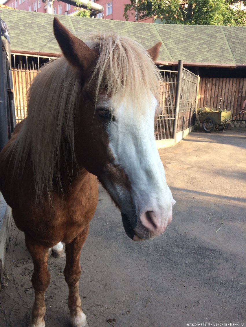 Куклы тоже уходят на пенсию ИЛИ " нет повести печальнее на свете "