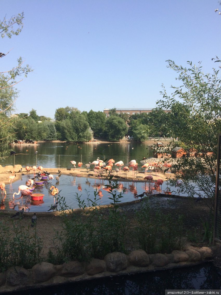 Куклы тоже уходят на пенсию ИЛИ " нет повести печальнее на свете " (фото 6)