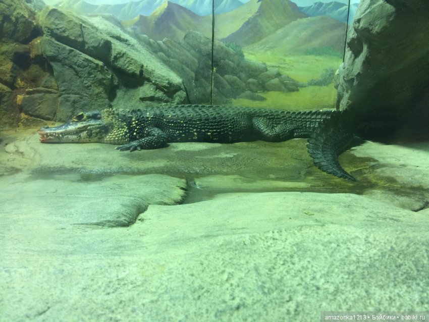 Куклы тоже уходят на пенсию ИЛИ " нет повести печальнее на свете "