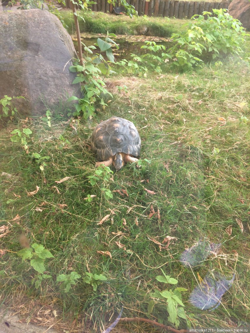 Куклы тоже уходят на пенсию ИЛИ " нет повести печальнее на свете "