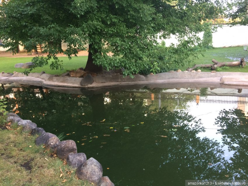 Куклы тоже уходят на пенсию ИЛИ " нет повести печальнее на свете "