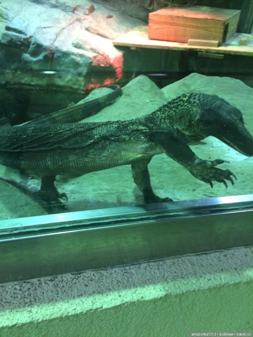 Куклы тоже уходят на пенсию ИЛИ " нет повести печальнее на свете "