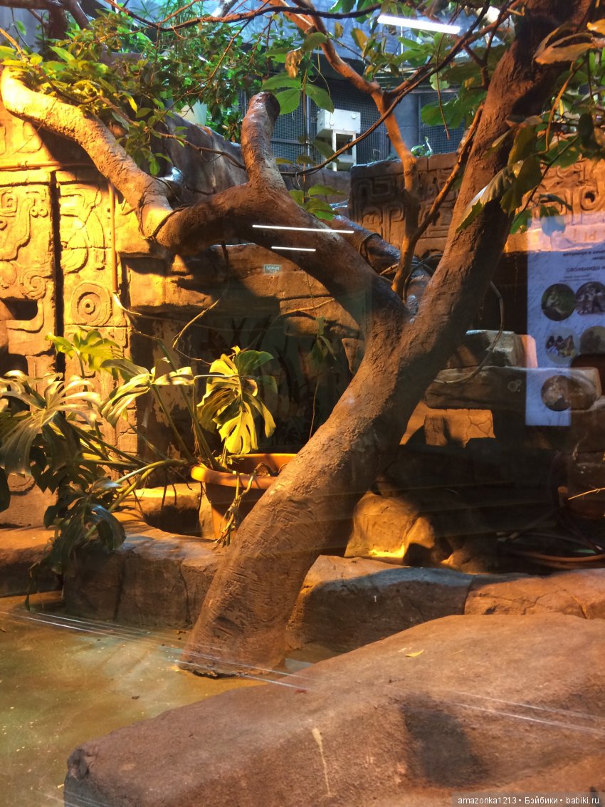 Куклы тоже уходят на пенсию ИЛИ " нет повести печальнее на свете "