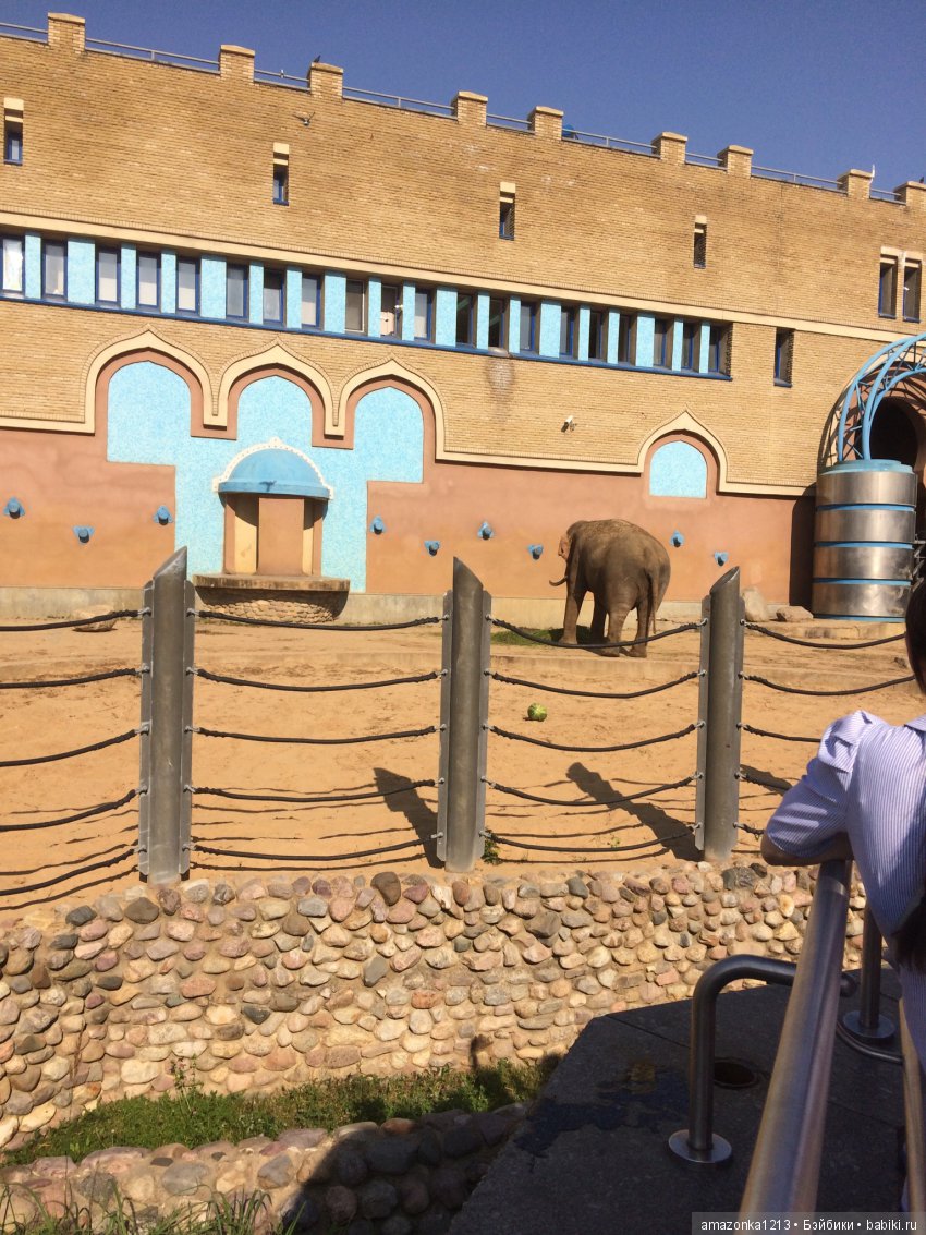 Куклы тоже уходят на пенсию ИЛИ " нет повести печальнее на свете "