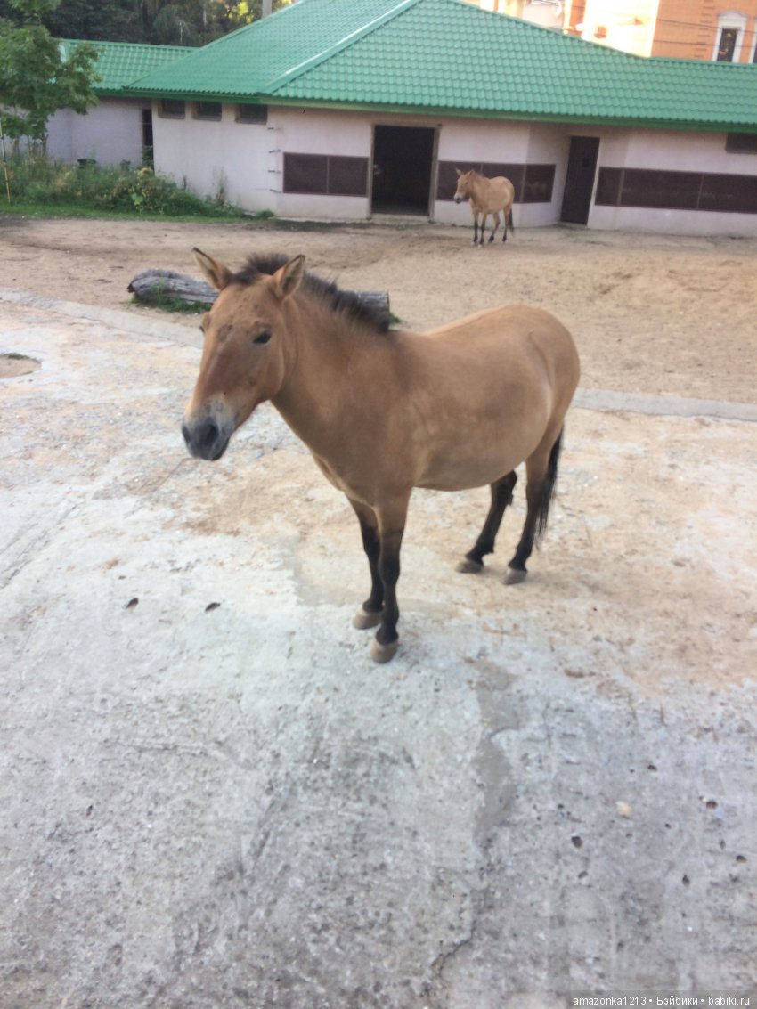 Куклы тоже уходят на пенсию ИЛИ " нет повести печальнее на свете "