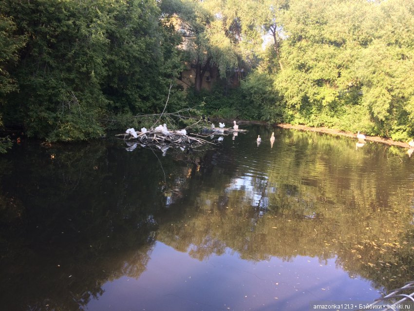 Куклы тоже уходят на пенсию ИЛИ " нет повести печальнее на свете "