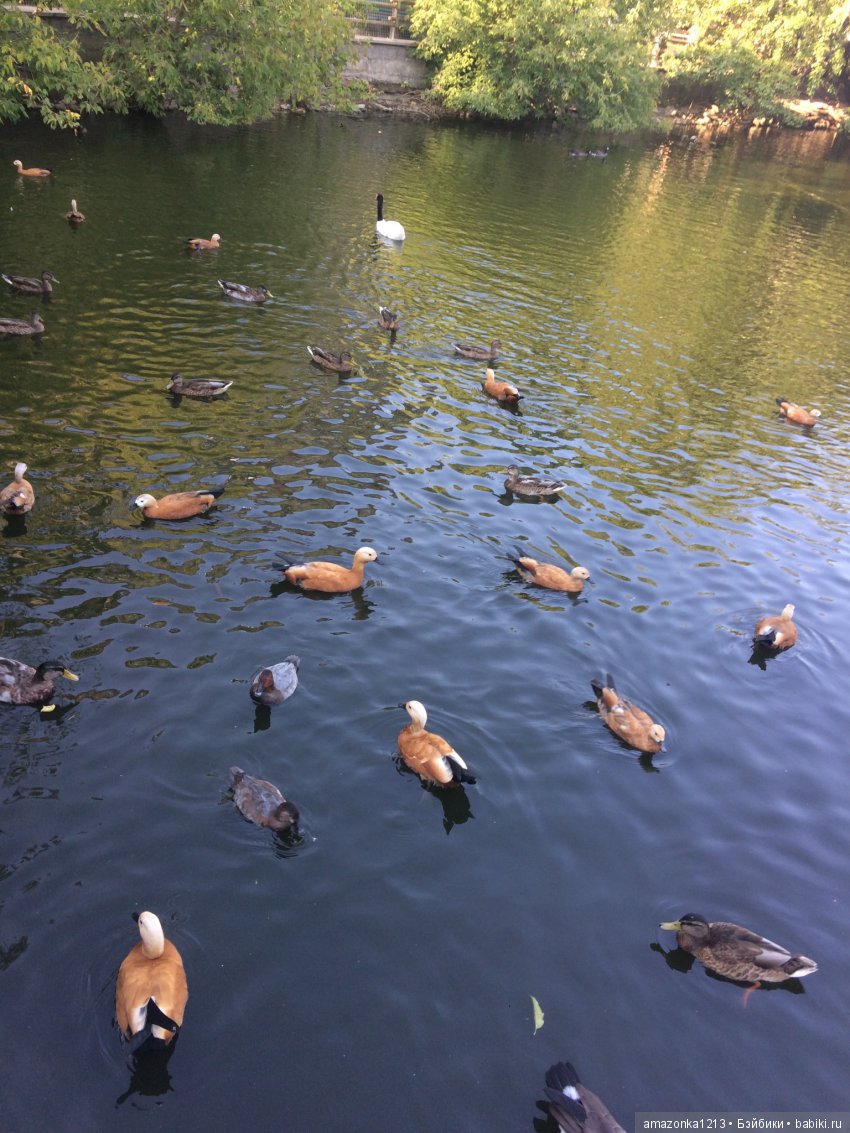 Куклы тоже уходят на пенсию ИЛИ " нет повести печальнее на свете "