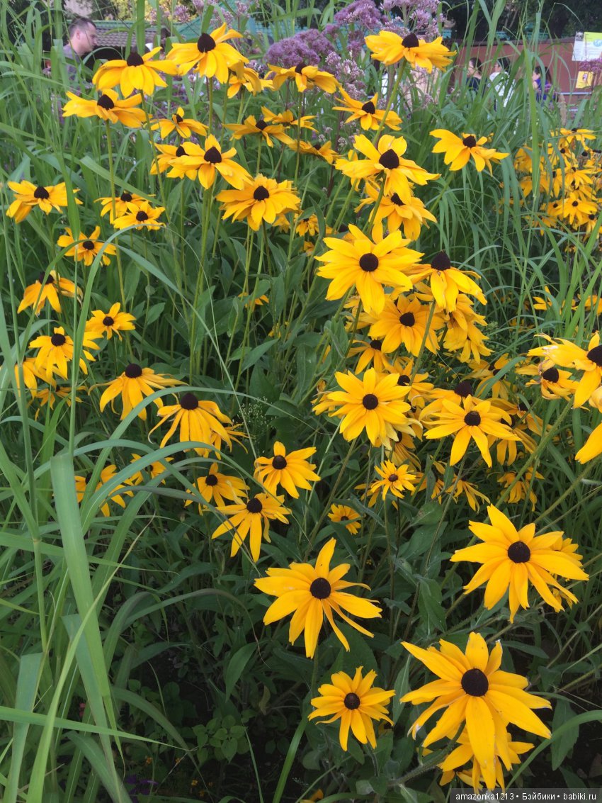 Куклы тоже уходят на пенсию ИЛИ " нет повести печальнее на свете "