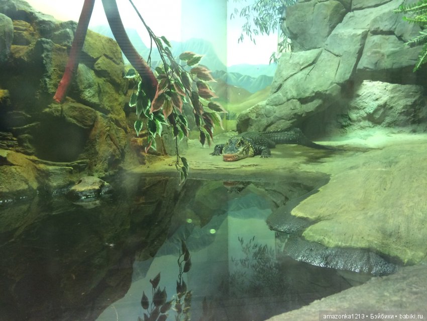 Куклы тоже уходят на пенсию ИЛИ " нет повести печальнее на свете "