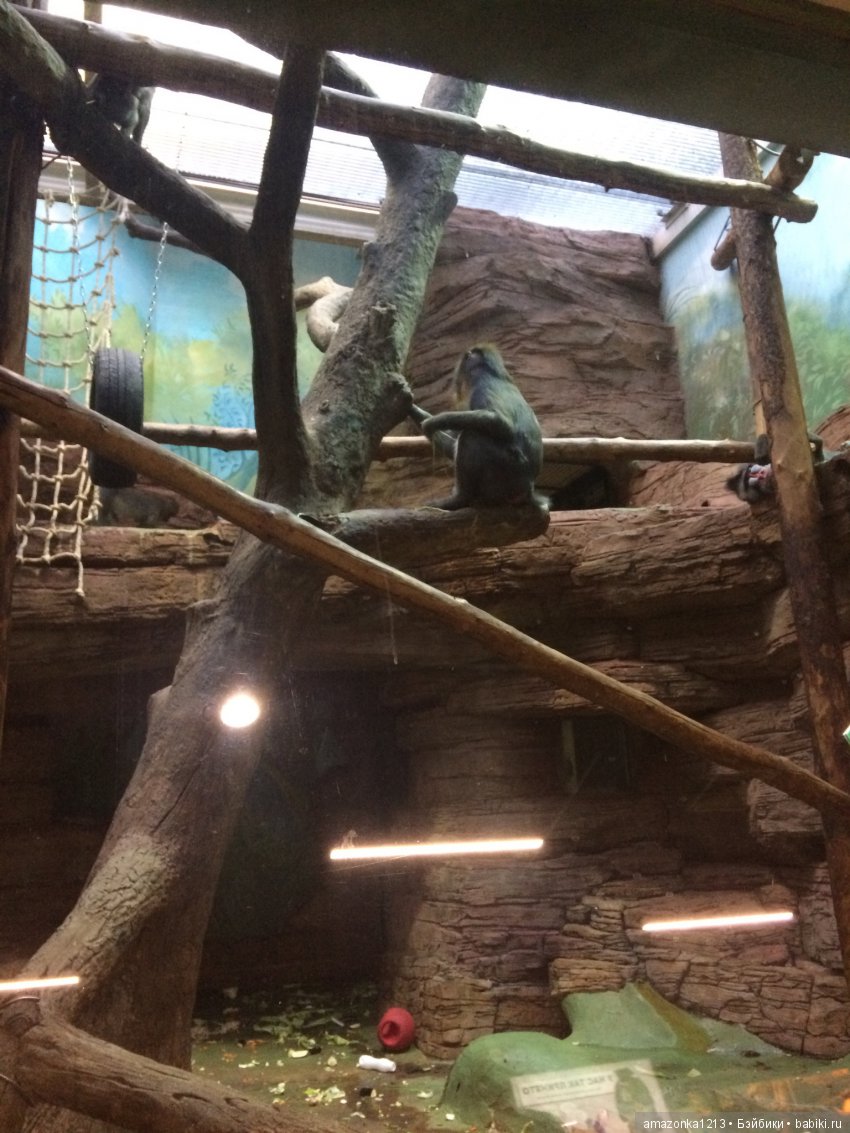 Куклы тоже уходят на пенсию ИЛИ " нет повести печальнее на свете "