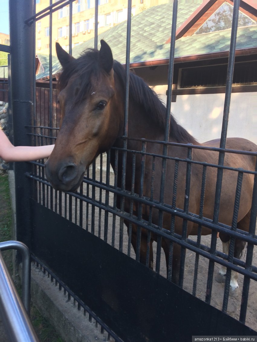 Куклы тоже уходят на пенсию ИЛИ " нет повести печальнее на свете "