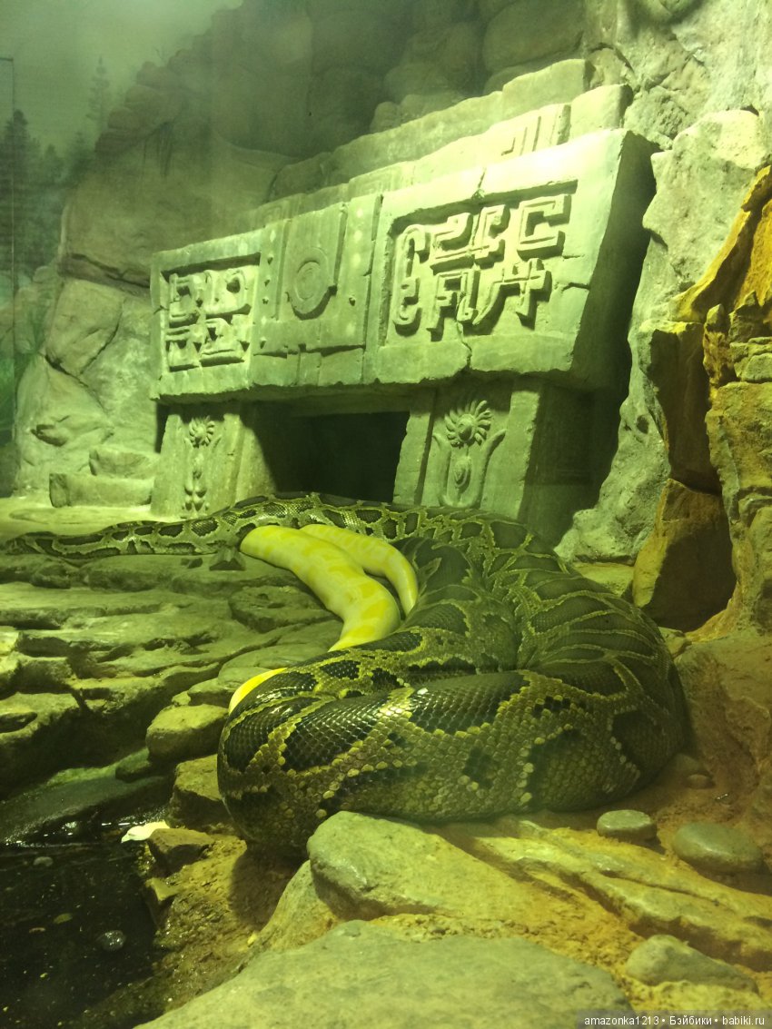 Куклы тоже уходят на пенсию ИЛИ " нет повести печальнее на свете "