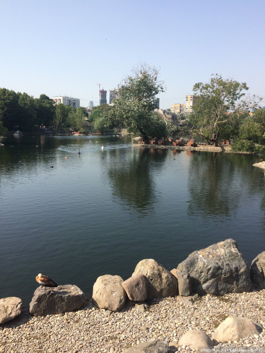 Куклы тоже уходят на пенсию ИЛИ " нет повести печальнее на свете " (фото 5)