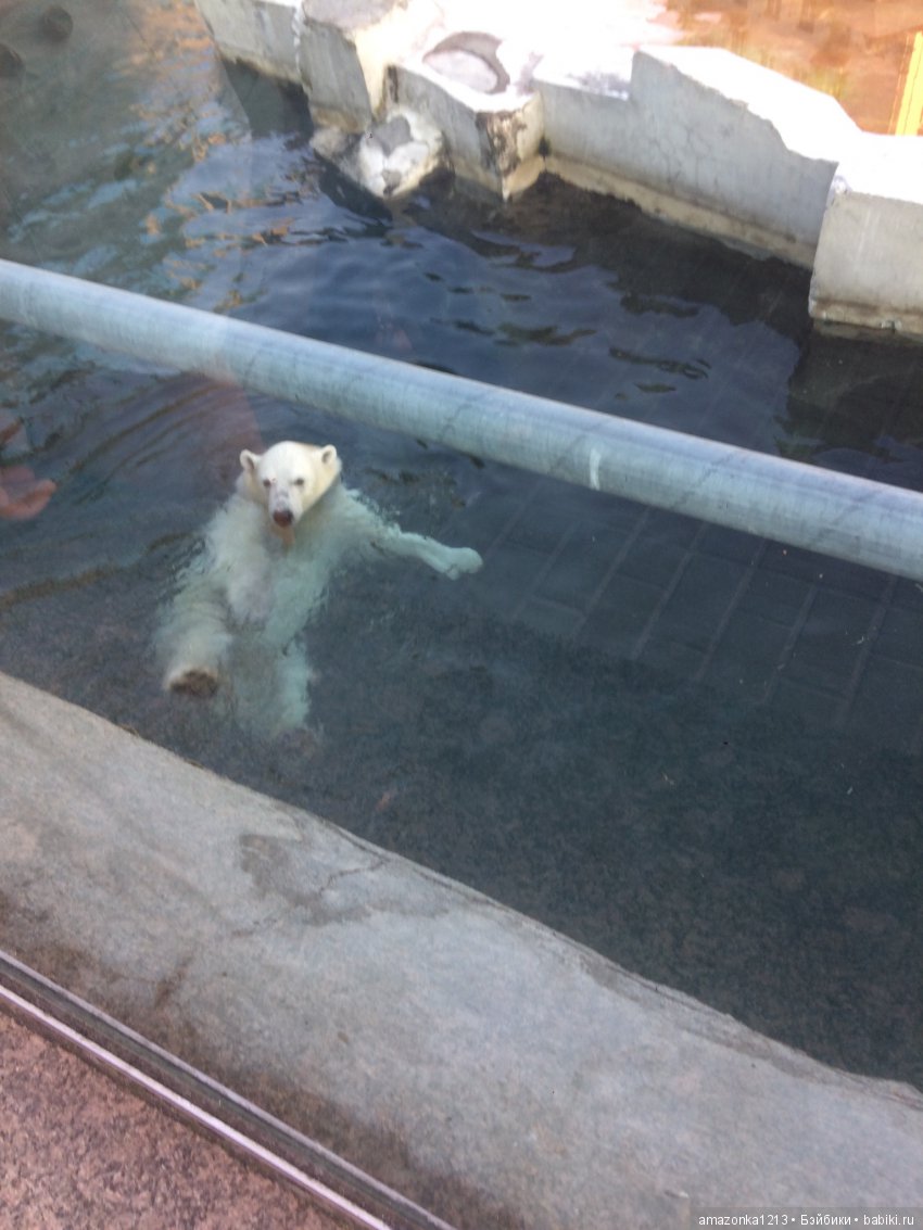 Куклы тоже уходят на пенсию ИЛИ " нет повести печальнее на свете "