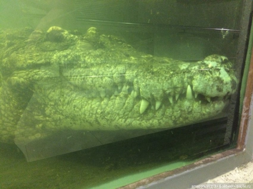 Куклы тоже уходят на пенсию ИЛИ " нет повести печальнее на свете "