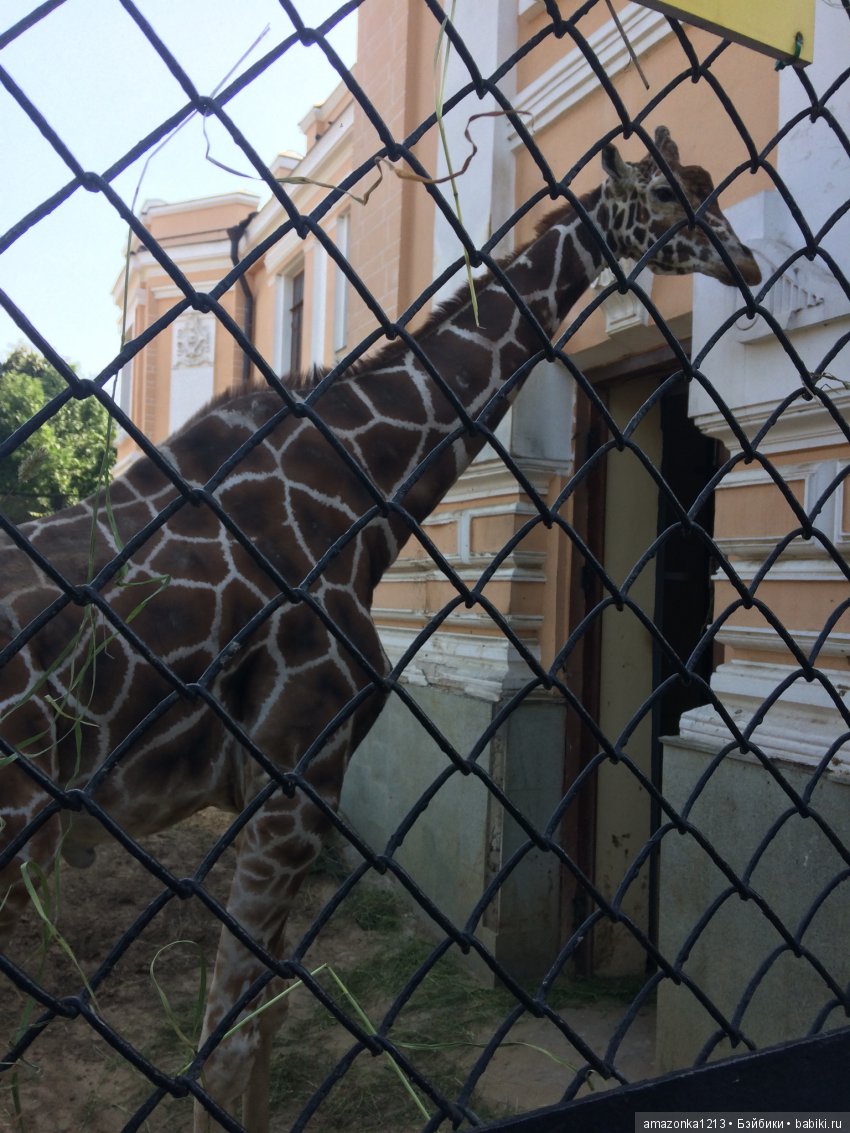 Куклы тоже уходят на пенсию ИЛИ " нет повести печальнее на свете "