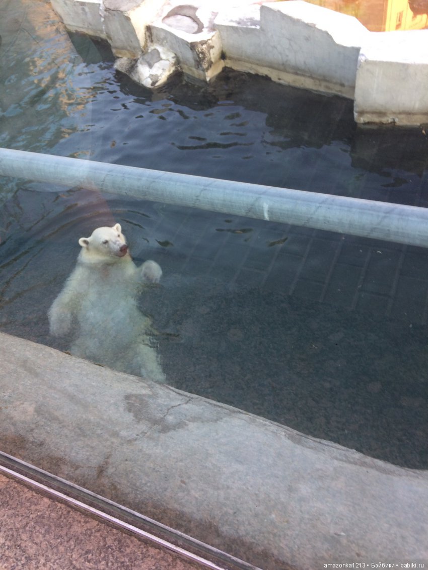 Куклы тоже уходят на пенсию ИЛИ " нет повести печальнее на свете "