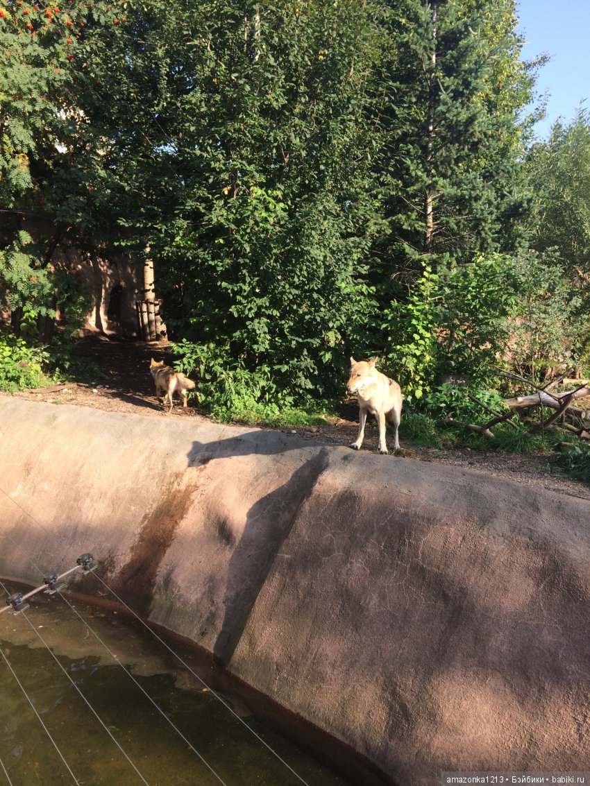 Куклы тоже уходят на пенсию ИЛИ " нет повести печальнее на свете "