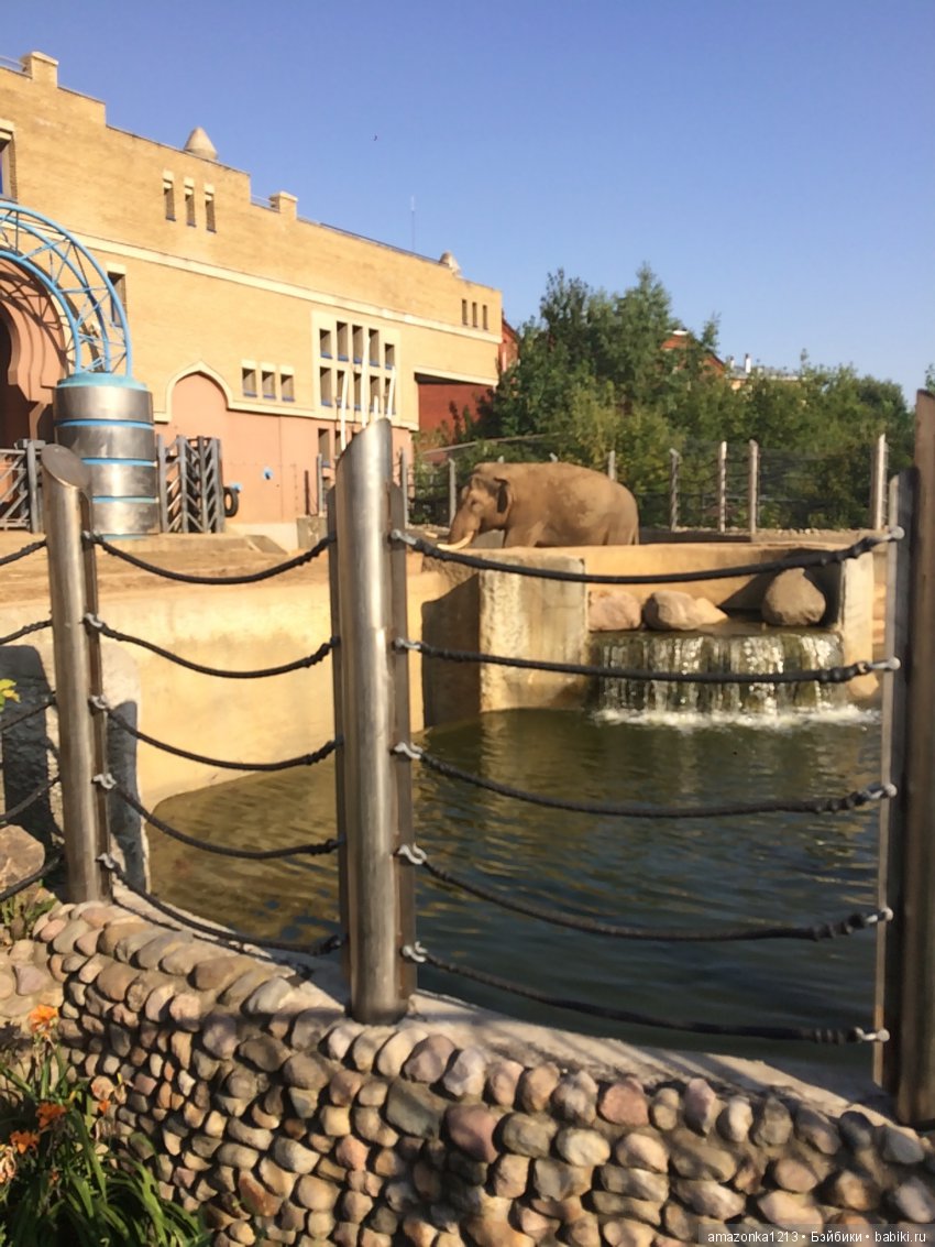 Куклы тоже уходят на пенсию ИЛИ " нет повести печальнее на свете "