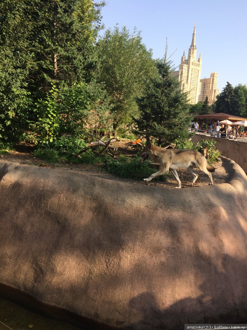 Куклы тоже уходят на пенсию ИЛИ " нет повести печальнее на свете "