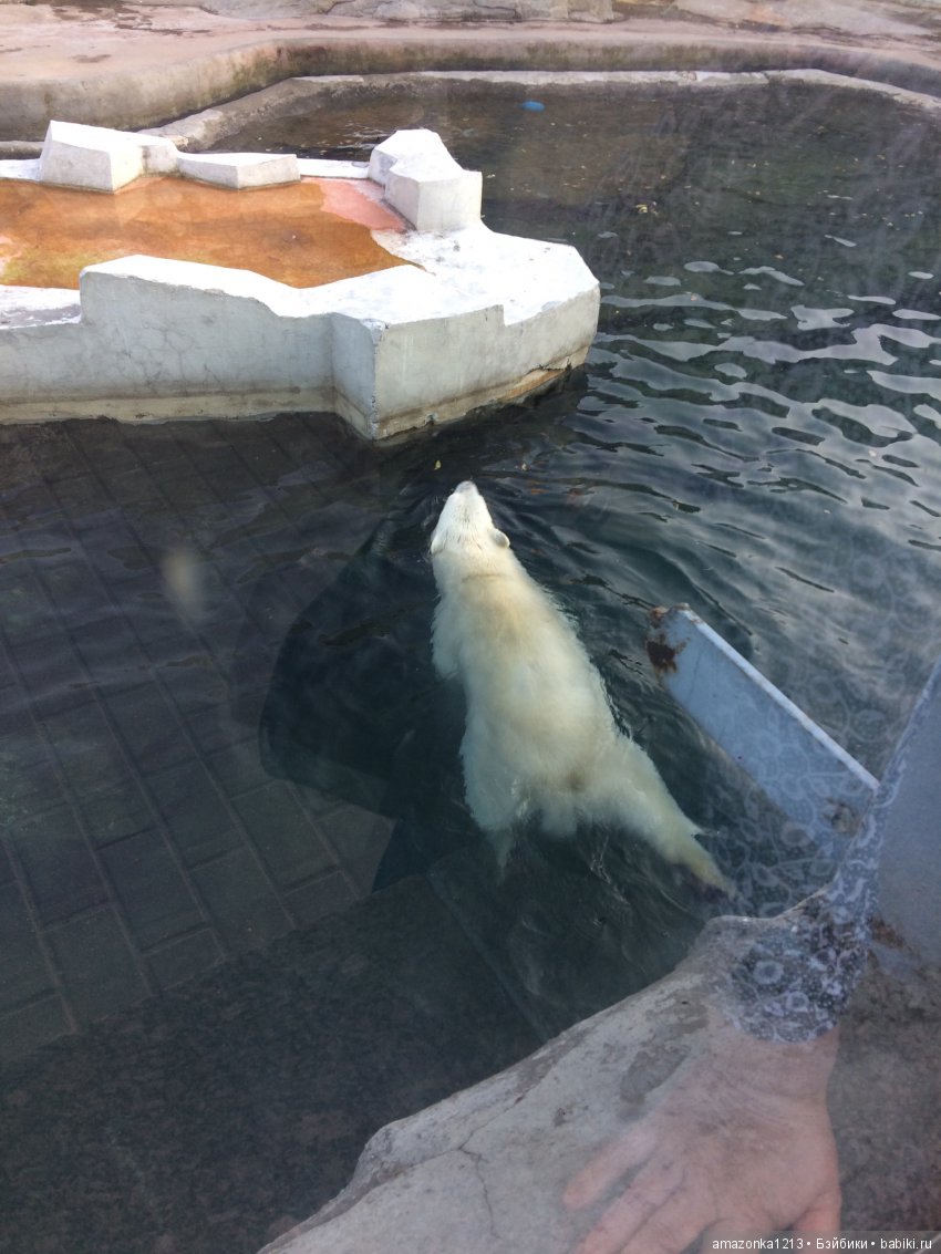 Куклы тоже уходят на пенсию ИЛИ " нет повести печальнее на свете " (фото 10)