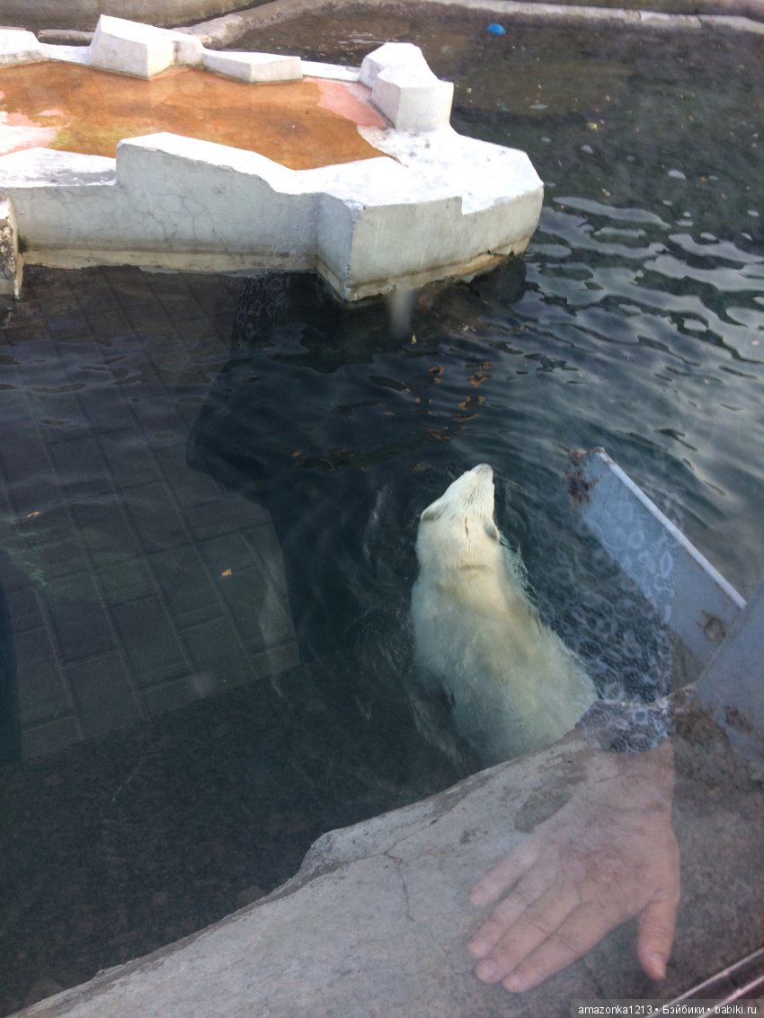 Куклы тоже уходят на пенсию ИЛИ " нет повести печальнее на свете " (фото 7)