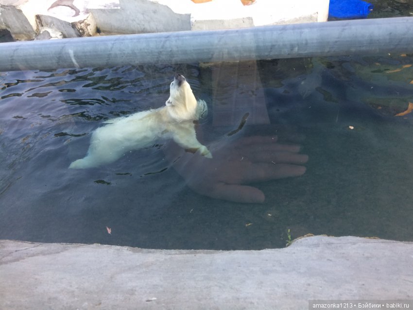 Куклы тоже уходят на пенсию ИЛИ " нет повести печальнее на свете "