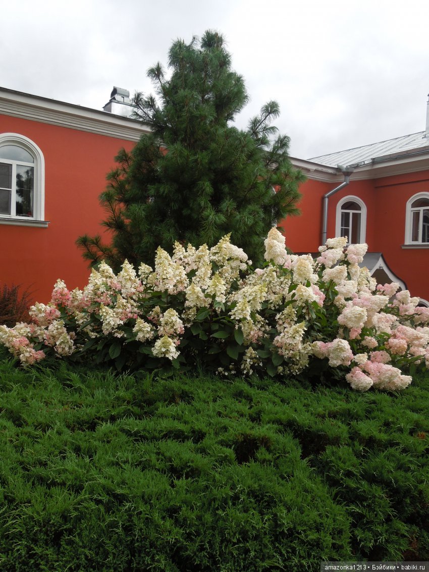 Поездка в Сергиев Посад. Гефсиманский Черниговский Скит