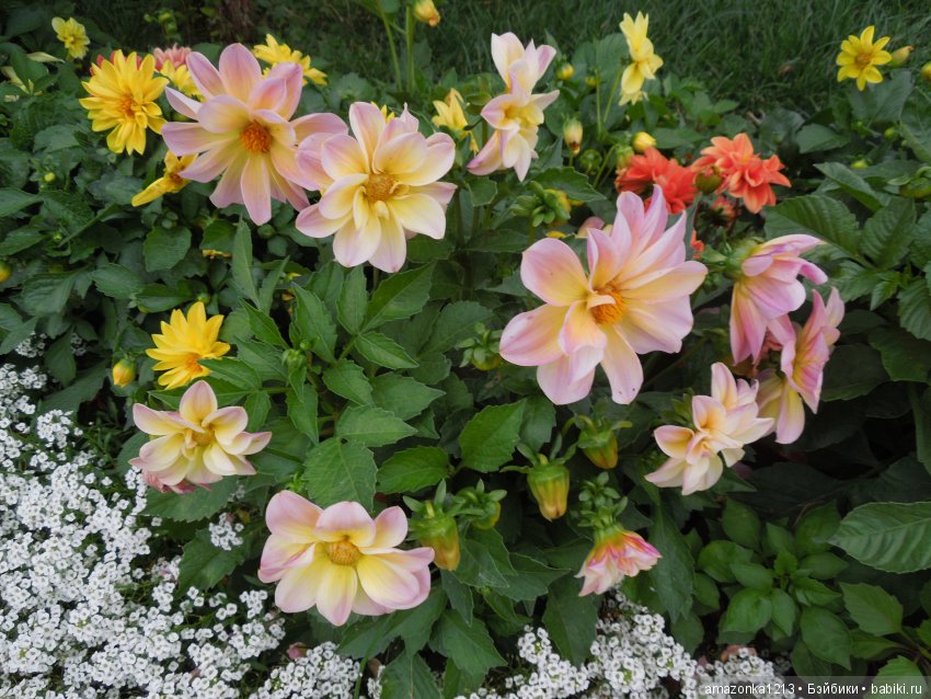 Поездка в Сергиев Посад. Гефсиманский Черниговский Скит