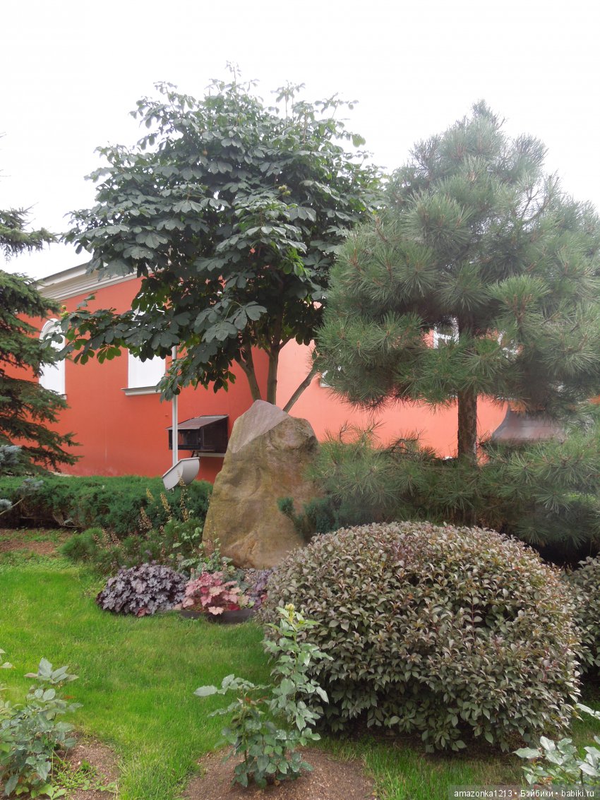 Поездка в Сергиев Посад. Гефсиманский Черниговский Скит