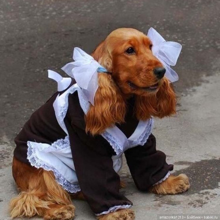 С началом учебного года всех нас