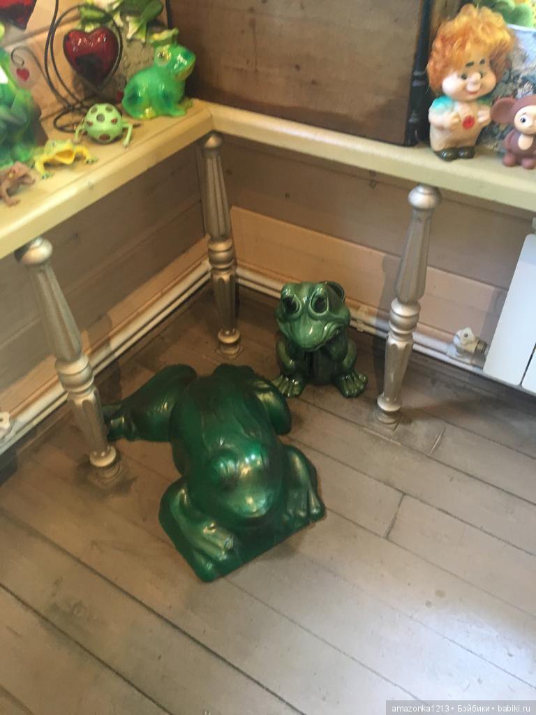 Поездка в Дмитров. Часть 2. Музей Лягушки