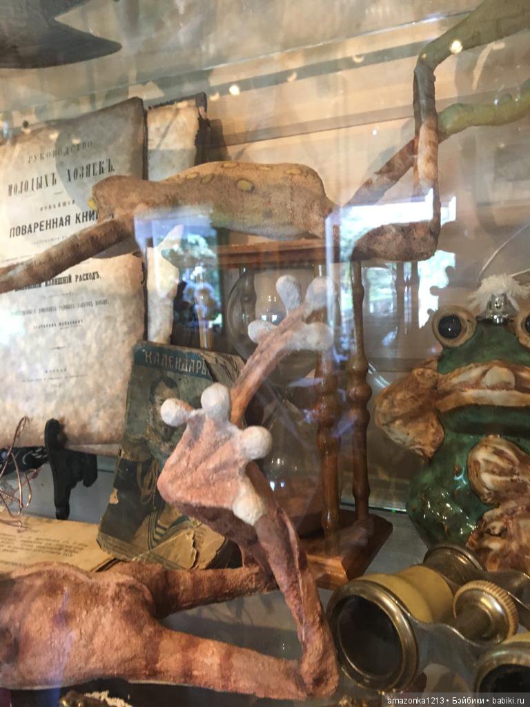 Поездка в Дмитров. Часть 2. Музей Лягушки