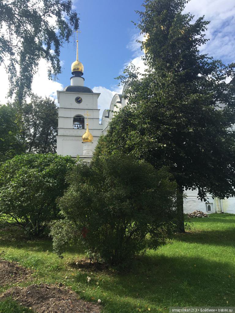 Поездка в Дмитров. Часть 2. Музей Лягушки