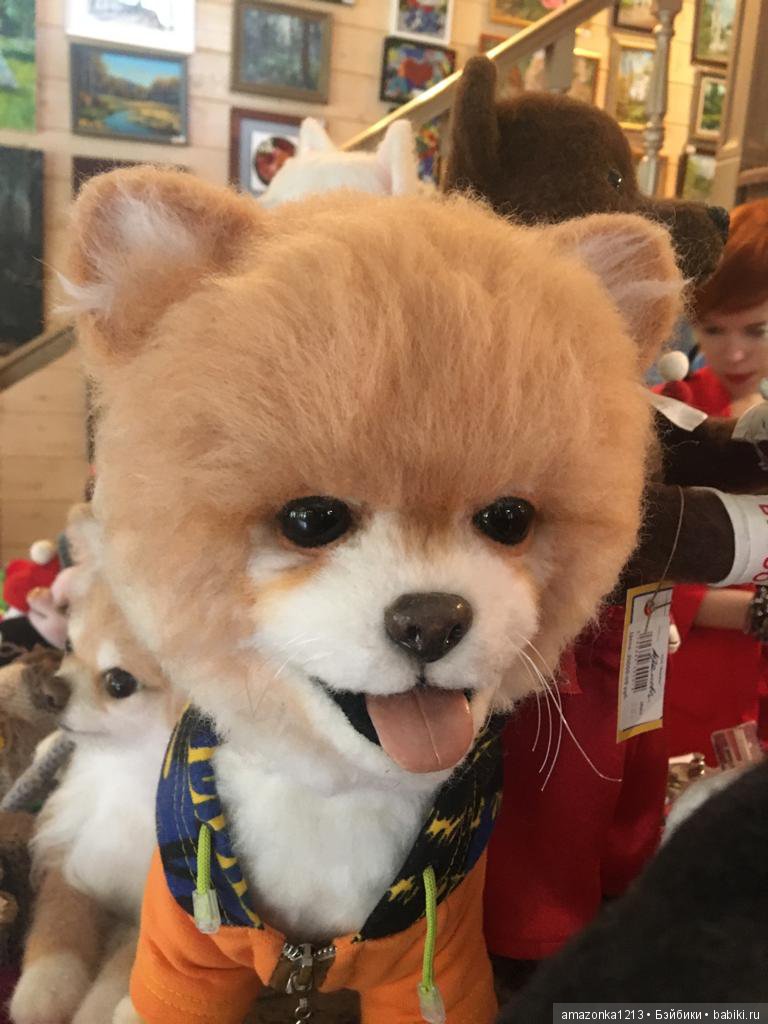 Поездка в Дмитров. Часть 2. Музей Лягушки