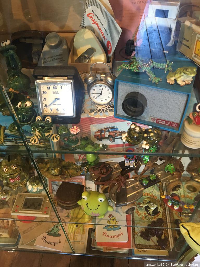 Поездка в Дмитров. Часть 2. Музей Лягушки