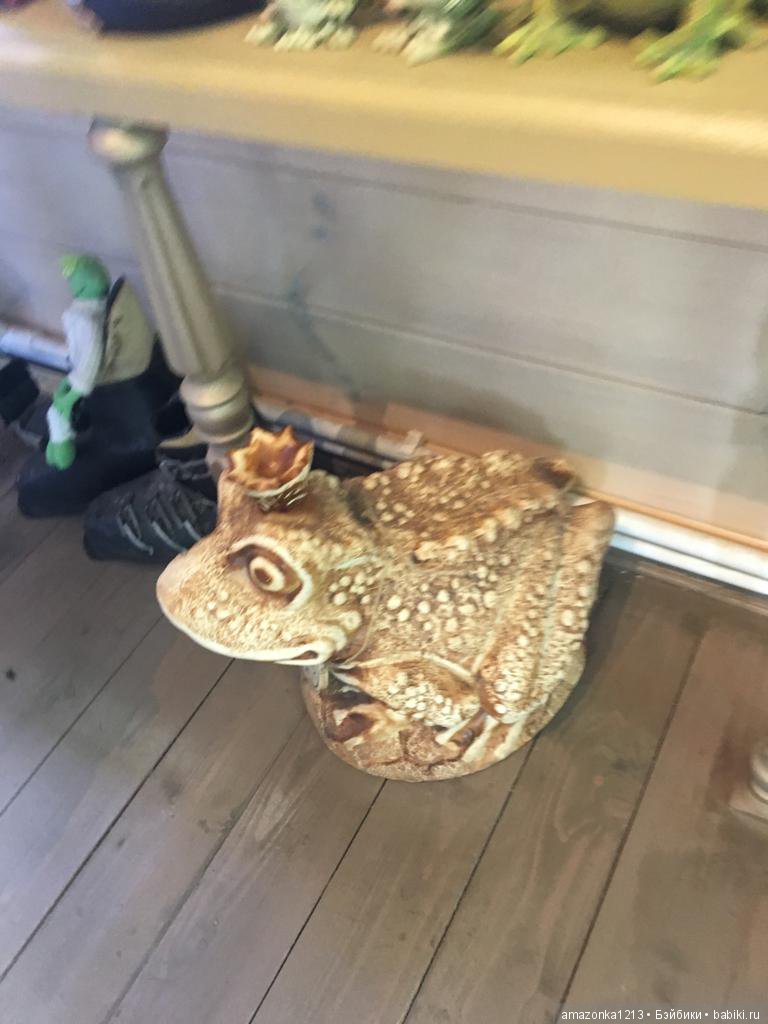 Поездка в Дмитров. Часть 2. Музей Лягушки