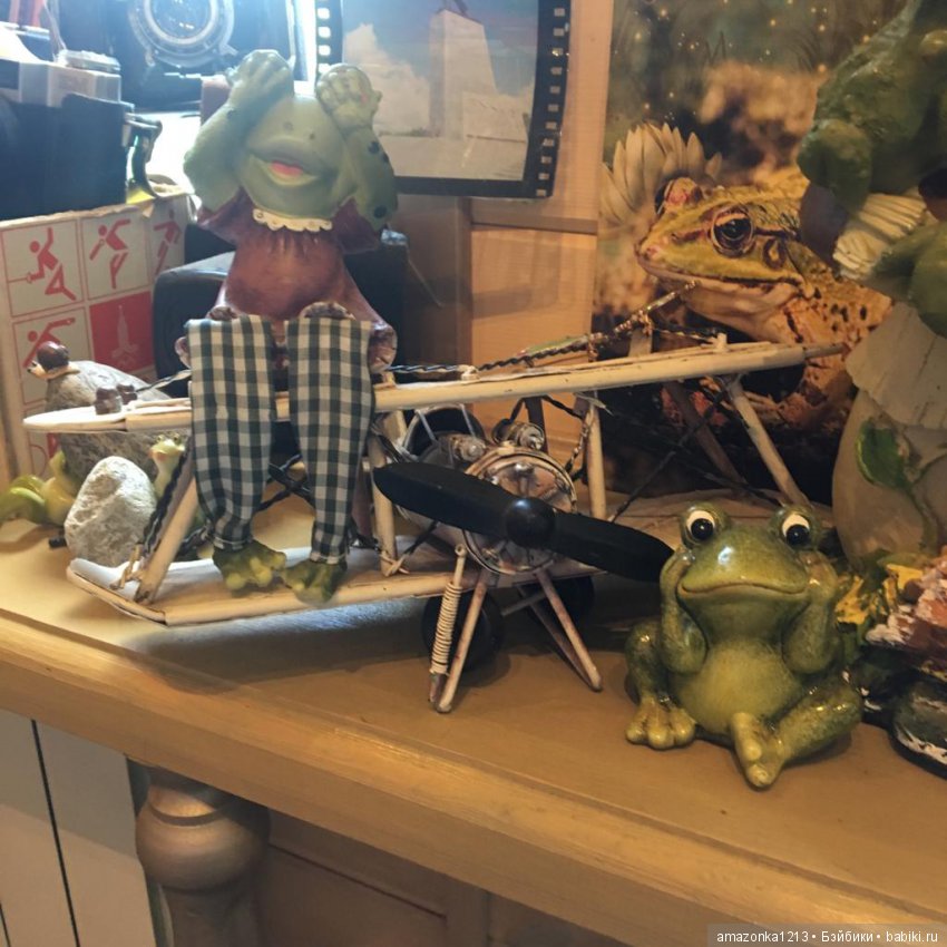 Поездка в Дмитров. Часть 2. Музей Лягушки