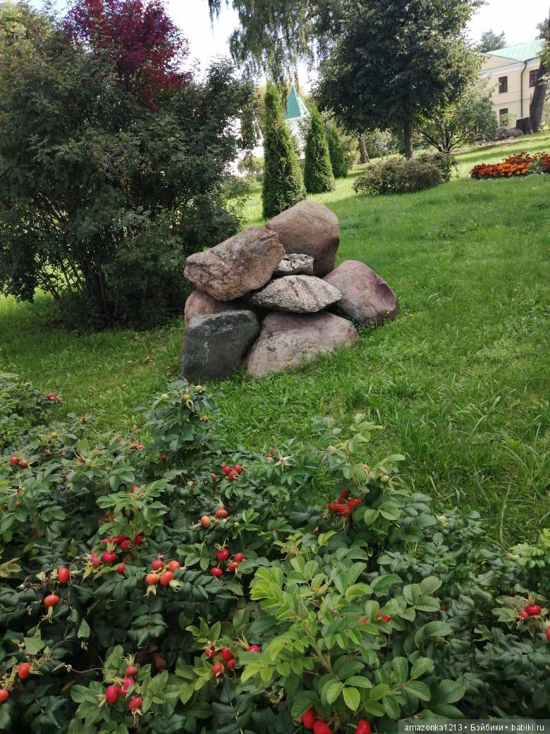 Поездка в Дмитров. Часть 2. Музей Лягушки