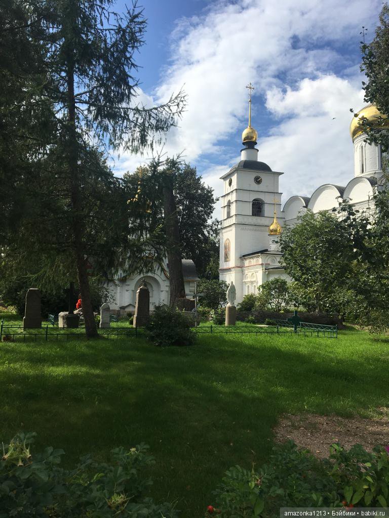 Поездка в Дмитров. Часть 2. Музей Лягушки