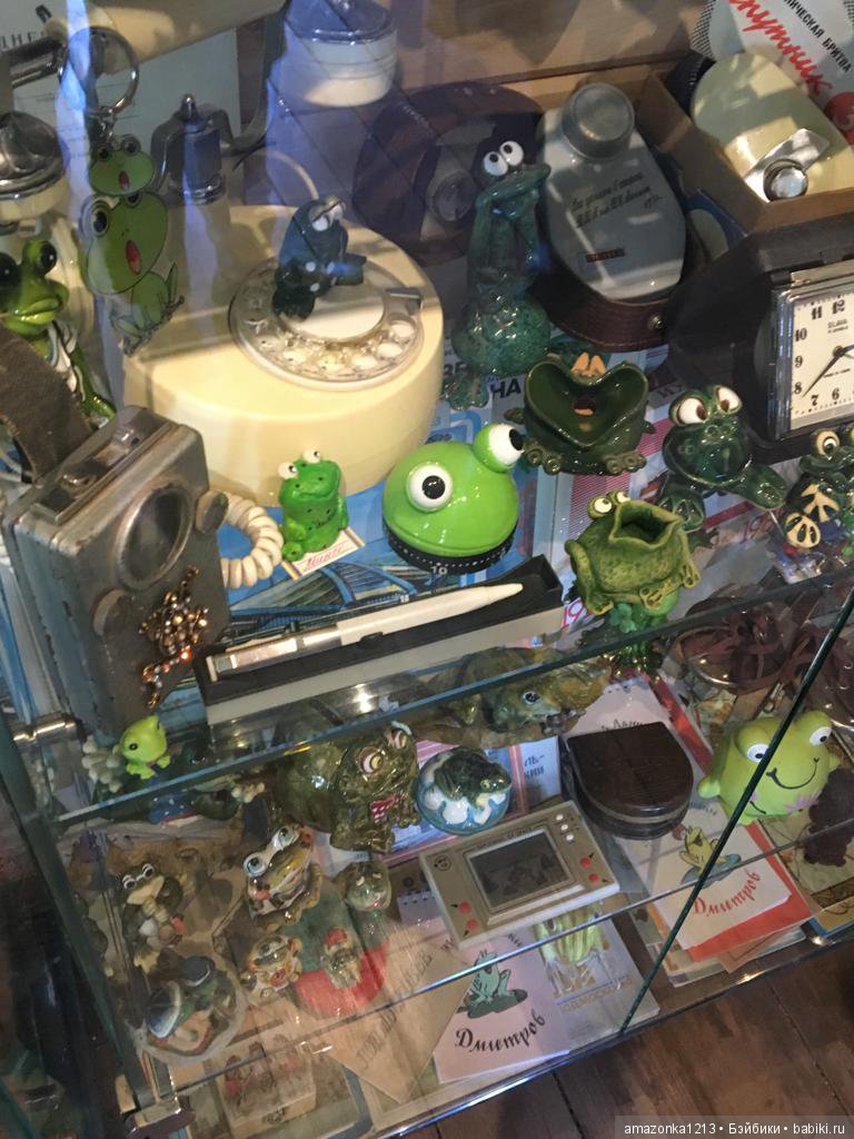 Поездка в Дмитров. Часть 2. Музей Лягушки