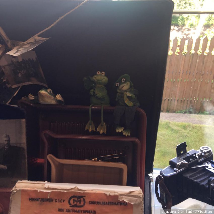 Поездка в Дмитров. Часть 2. Музей Лягушки