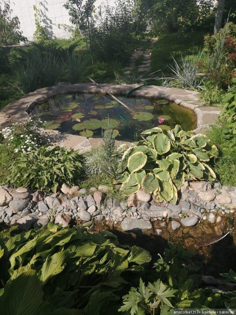 Поездка в Дмитров. Часть 2. Музей Лягушки