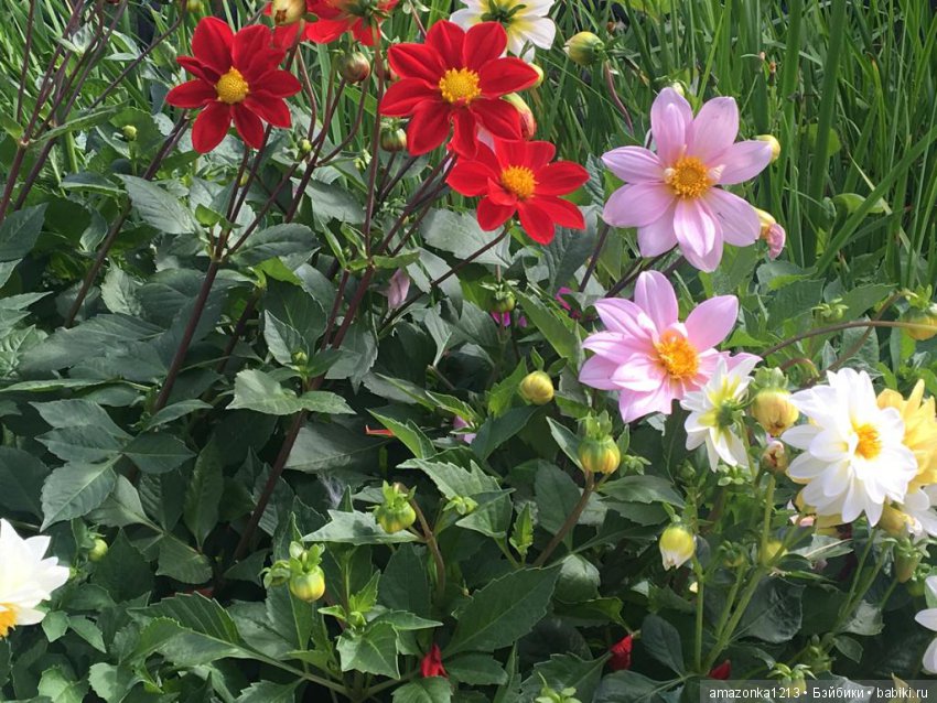 Поездка в Дмитров . Часть 1