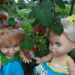 За цветами и по ягоды. Бебифейс, вяжем для кукол