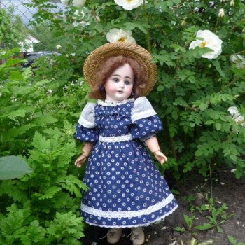 100 лет Дэвиду Остину. Розы и куклы