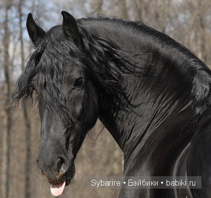 Новая кукла Elizabeth - Alpha Dolls (фото 7)