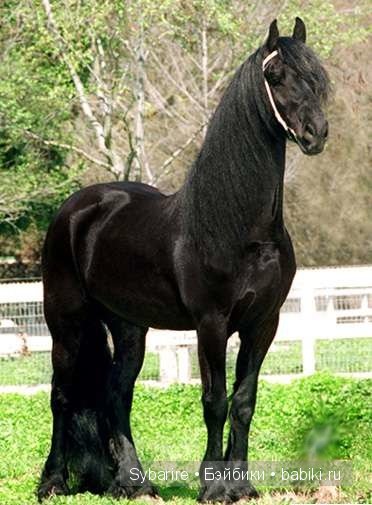 Новая кукла Elizabeth - Alpha Dolls (фото 6)