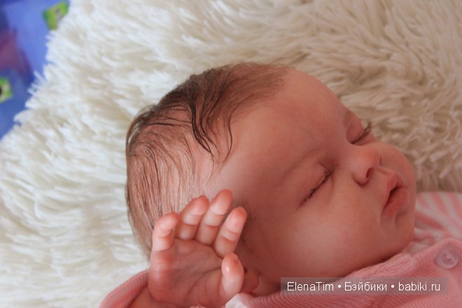 ангелина реборн тимошенко елены