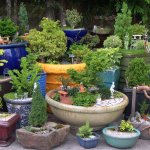 Мини сады для мини кукол